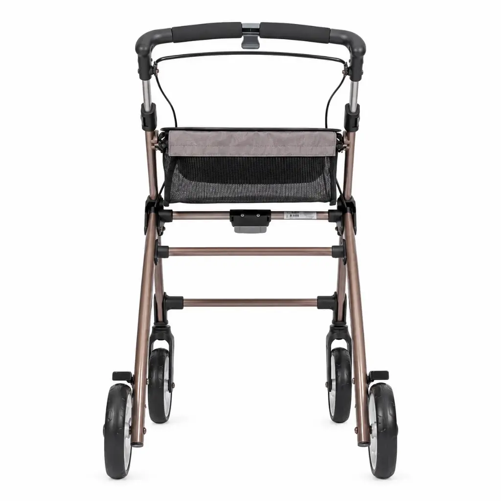 WheelzAheadINDOOR1.0_4__msi___png.webp