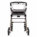 WheelzAheadINDOOR1.0_4__msi___png.webp