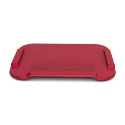 Rood groot, zonder pinnetjes