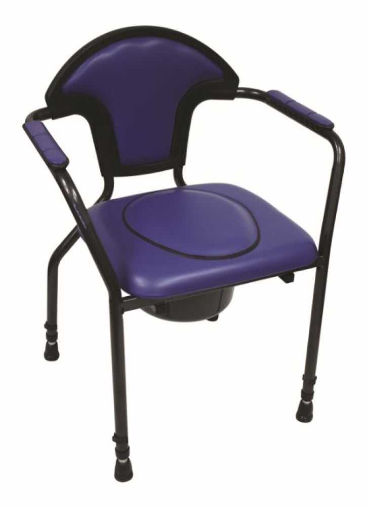 Toilet chair