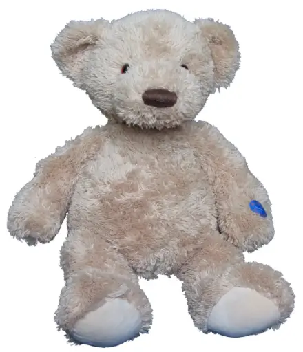 Arthur: the musical teddy bear
