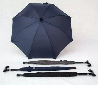 Wandelstokparaplu 2-in-1