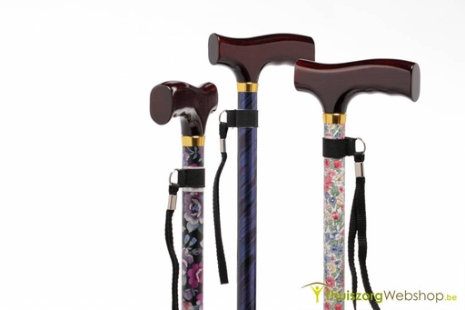 Premium wandelstok Fantasy 