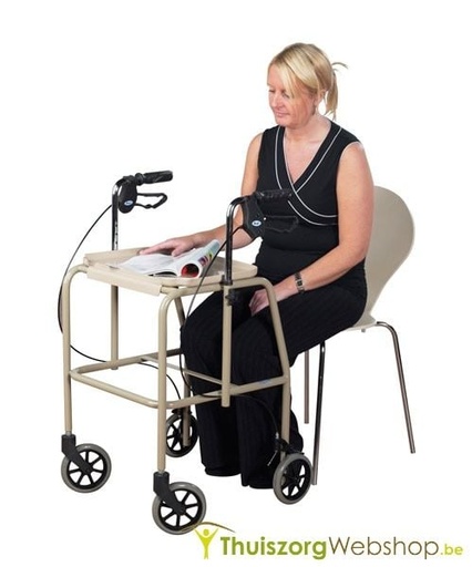 Trolley Walker