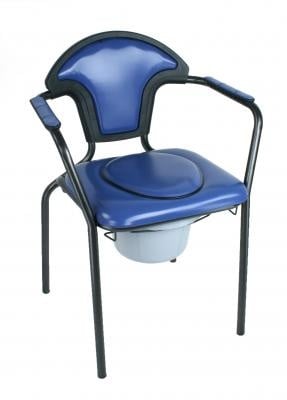 Fixed toilet seats